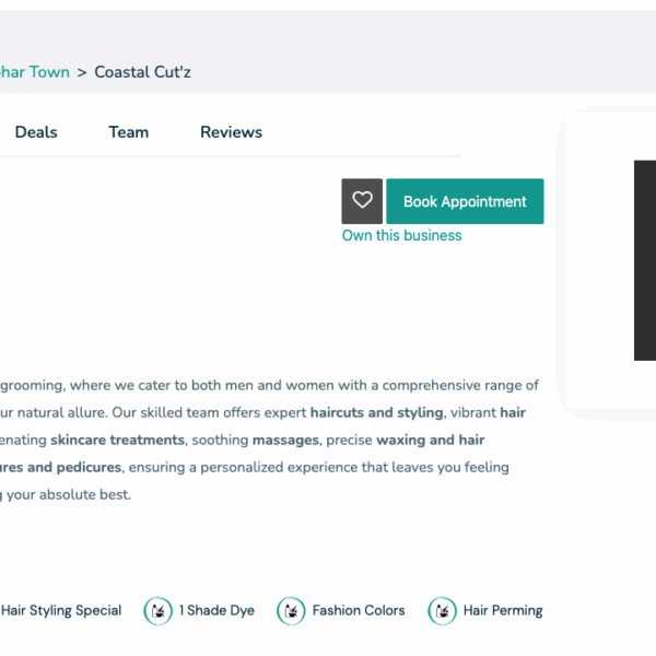 business profile, saas development